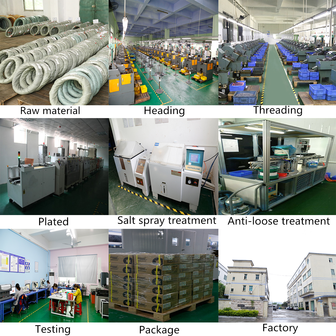 Blue Phillips Round Head Screw