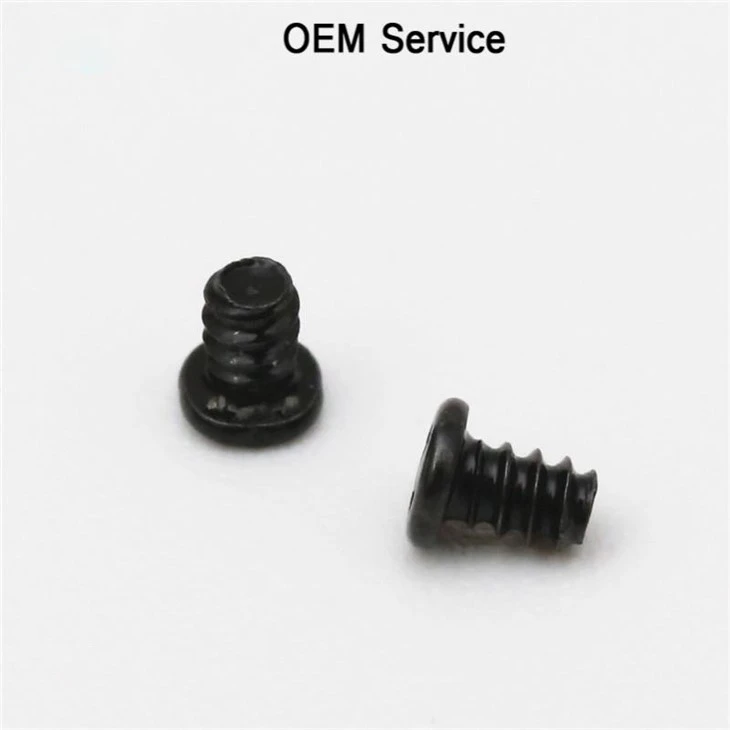 Black Stainless Steel M2 Small Pan Head Screw
